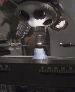 Special "needles" mounted on micro-manipulators controlled by computer to carefully and precisely cut out sections of aerogel that contain cometary samples. Image courtesy NASA.