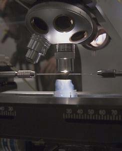 Special "needles" mounted on micro-manipulators controlled by computer to carefully and precisely cut out sections of aerogel that contain cometary samples. Image courtesy NASA.