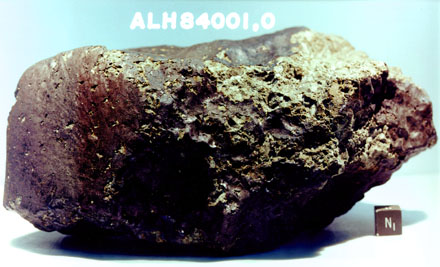 The Allan Hills, Antarctica ALH84001 meteorite discovered in 1984 that made worldwide headlines because scientists found rice-shaped carbon globules in tiny cracks on the rock which resembled earth bacteria. The carbon in this meteorite dates back about three billion years when Mars probably had water on its surface, was warmer and had a global magnetic field. Photograph provided by the NASA Johnson Space Center, Houston, Texas.