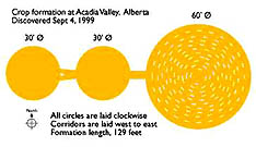 Diagram: Acadia Valley, Alberta, Canada durum wheat formation survey © 1999 by crop formation researcher, Judy Arndt.