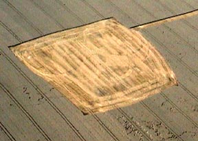 Allington formation of rings cut down on August 23, 1999 before an aerial photograph of the design could be taken. Aerial videograph after farmer cut it down © 1999 by Peter Sorensen. 