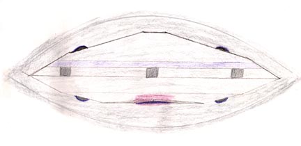  Drawing of the craft that farmer Urandir Oliveira remembers consciously approaching  during his September 15, 2002, abduction from his Corguinho, Brazil bedroom. The same violet light that filled his room and paralyzed Urandir was also in the bottom of the craft where he entered. Drawings © 2003 by Earthfiles.com. 
