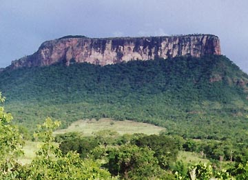 Two hours by truck northwest of Campo Grande is the small farming community  of Corguinho, dominated by the flat-topped mesa. Photograph © 2002 by Flavio Mori, Jr.