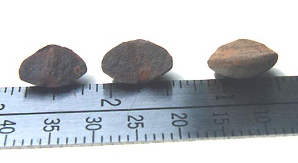 Left: The two halves of Stone 2 split by analytical chemist, Phyllis Budinger, for infrared study and EDS plots. Right: Stone 1 in profile to show disk-shape. Stone 1 is 16mm in diameter and weighs 3.2051 grams. Stone 2 before being broken in two was also 16mm in diameter and weighed 3.3068 grams. Both Stone 1 and Stone 2 were collected by Brazilian businessman, Felipe Branco, on September 15, 2002, after a “rain of rocks” on the Urandir Oliveira farm in Corguinho, Brazil. Photograph © 2003 by Linda Moulton Howe.
