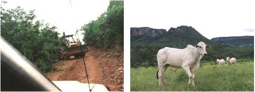 On left, typical red soil in the land around Corguinho, Brazil, February 2003, where cattle graze in the state of Mato Grosso do Sul, Brazil's largest exporter of beef to the world. Photograph © 2003 by Linda Moulton Howe. 