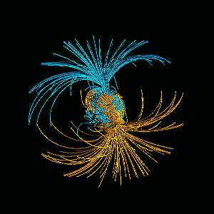 Simulated 3-dimensional structure of Earth's magnetic field, where (blue) North Pole  field lines enter and (yellow) South Pole field lines exit. The last magnetic pole flip was 800,000 years ago.  Image © by Gary Glatzmaier, Los Alamos National Laboratory.