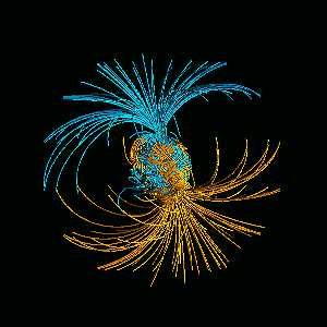Simulated 3-dimensional structure of Earth's magnetic field, where (blue) North Pole field lines enter and (yellow) South Pole field lines exit. The last magnetic pole flip was 800,000 years ago. Image © by Gary Glatzmaier, Los Alamos National Laboratory.