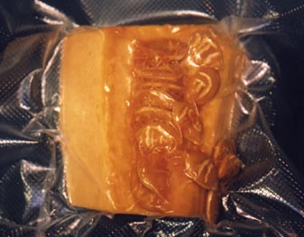 Banana squash section containing "engraved" seeds still tangled in the squash fibers, preserved in a vacuum pack by Baba Afghan Restaurant owner, Kasim Barakzia, Salt Lake City, Utah. Photograph © 2003 by Dave Rosenfeld.