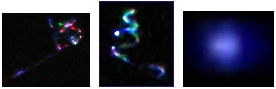 Left:  Kokomo, Indiana, one of series of aerial light photos courtesy of Dustin Cronkhite,  taken between 10 to 11 PM Central, on April 16, 2008. Middle: Flashing light photographed  through telescope around 11:45 PM Central, in Oswego, Illinois, on Saturday, April 5, 2008.  Image © 2008 by Gabrielle Johnson. Right: Video frame of bright, color-changing, aerial object above Granville, Massachusetts, videotaped over a period of 90 minutes between  10 and 11:30 PM Eastern, on Friday, April 18, 2008, © 2008  by Courtney Lynne Wilson-Merrill.