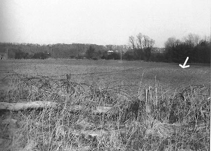 Capel Green, a Rendlesham forest field where an oval-shaped area was still discolored in 1988 when former USAF Security Police officer, Larry Warren, returned to photograph where he remembered a craft appeared during the December 1980 events. Photograph © 1988 by Larry Warren and Peter Robbins in their 1997 book, Left At East Gate. 