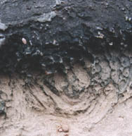 Melted rock sample from shallow crater on Corguinho,  Brazil, hilltop discovered in October 2000, by local residents  who saw a light come down out of the sky toward the hill  and rise up again. Photograph © 2003 by Linda Moulton Howe.