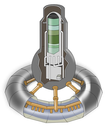 Schematic GE BWR inside a Mark I containment. Wikimedia.