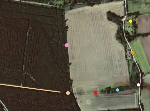 L-R: Light orange straight path from left turn off logging road going east toward Capel Green, the small, more darkly shaded field section between the pale orange circle (John Burroughs and Jim Penniston phenomenon site) and the red circle. Red circle is where John Burroughs reported the TriField meter pegged at highest level after midnight during our TV production research on December 26 and 27, 2010, in the small southern field known as Capel Green. Blue circle marks the watery marsh in the finger of trees that would explain why both John Burroughs and Jim Penniston reported getting wet during their December 26, 1980, 3 AM, encounter with the lights and craft. White circle marks the third house that has animals. Orange circle marks the second house directly across the field from the modern day picnic table and UFO signs (pink circle). But John and Jim say that pink circle is not the correct location of their encounter; the pale orange circle is the phenomenon site.  Yellow circle marks the first house. Graphic overlay of Google map by Earthfiles.