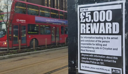 U. K.'s People for Ethical Treatment of Animals Foundation, PETA, is offering 5,000-pound reward “for information leading to the arrest and conviction of the person responsible for killing and dismembering cats in Croydon and West Norwood" in England south of London without blood or tracks.