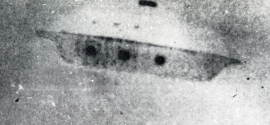 Attorney Cashman's description is similar to this unidentified aerial object that was photographed by Gabriel Kozora on June 28, 1967, at New Castle, Pennsylvania, while he was taking Polaroid photographs of his young son. Mr. Kozora said the UFO was about 60 feet long and hovered overhead for about 15 seconds before moving off to the northwest. Source UFOs: A Pictorial History from Antiquity to the Present ©1979 by David C. Knight.