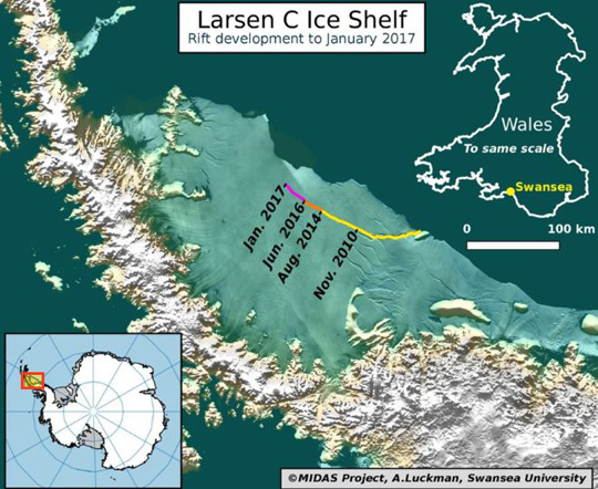 The current location of the 2,000 square mile ice shelf nearly the size of Delaware is marked off by the yellow, orange and fuschia date lines show the growing rift on the Antarctic Peninsula's Larsen C ice shelf. The crack has grown dramatically since 2011 by some 50 miles and has widened to more than 1,000 feet now. Illustration by the U. K. MIDAS Project in Swansea and Aberysthwyth Universities, Wales.