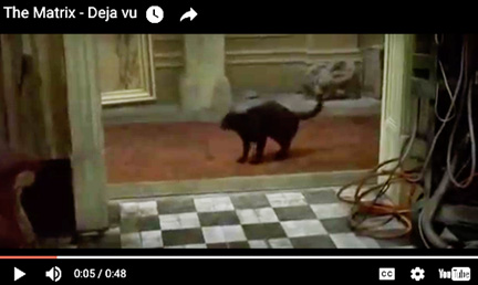 Above and below: During one scene in Hollywood 1999 science fiction film The Matrix, Neo crosses paths with the same black cat twice within seconds. “Whoa,” he says famously, “Déjà vu.” What happens next is an interesting revelation as Trinity explains that the déjà vu is actually a glitch in the Matrix, indicating that the computer program they call life has just been edited signaled by the repeating black cat glitch.