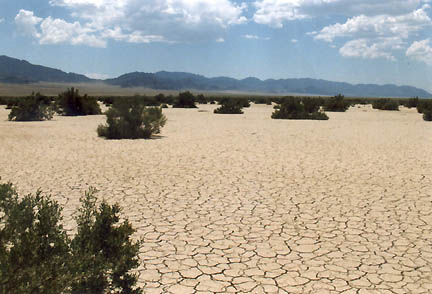 Dry, cracked lakebed inside triangle near DRES on July 17, 2005. Photograph © 2005 by Linda Moulton Howe