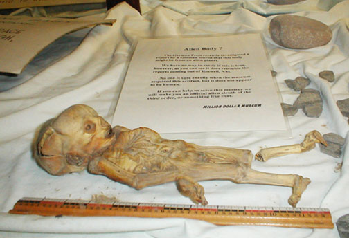 Above is what appears to be another “Alien Body?” displayed with placard and ruler in White's City, NM, Million Dollar Museum from 1990s until the 2008 museum closure. But this 12-inches-long body is not the one that appears in the slides presented at the beWITNESS Cinco de Mayo event in Mexico City. See Websites below.