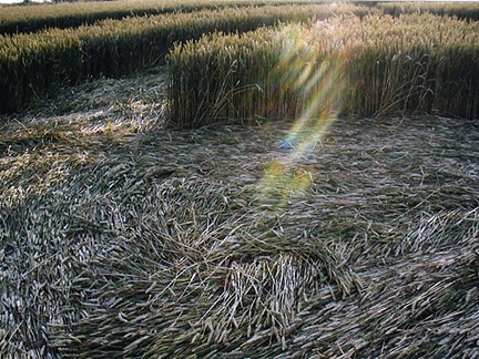 Olympus digital camera photograph of unidentified light spiral taken on July 21, 2000 between 8 to 9 PM inside the White Hill crop formation in Lockeridge, Wiltshire, England © 2000 by Amica Kusaka, Okyamaa, Japan.