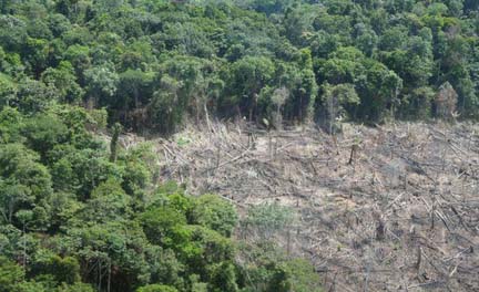 Amazon rainforest destruction. Overhead view of clear-cutting for slash-and-burn agriculture in the Peruvian Amazon. Location: Southeastern Peru; from Cuzco to Boca Manu. Between May 2000 and August 2005, Brazil lost more than 132,000 square kilometers of forest - an area larger than Greece—and since 1970, over 600,000 square kilometers (232,000 square miles) of Amazon rainforest have been destroyed. Image by Mongabay.com.