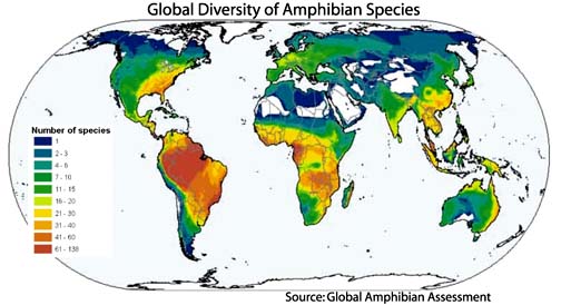 Amphibian declines have occurred around the world. The areas that have suffered the most declines include Central America, the Caribbean, Australia and other parts of Asia. Map by Amphibiaweb.