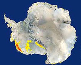  Yellow and red colors on western Antarctica indicate where NASA's QuikScat satellite in January 2005 detected snowmelt by radar pulses that bounced off ice formed when snowmelt refroze. The unprecedented ice melt was equal to the size of California. Image courtesy NASA/JPL.