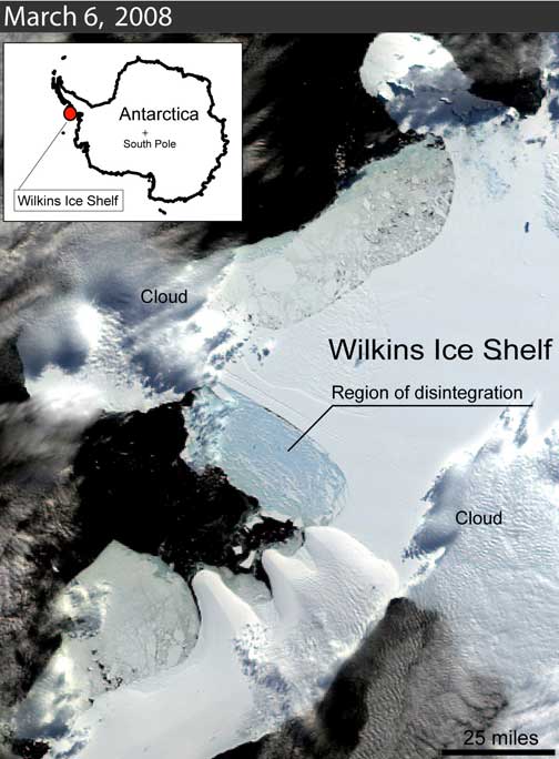Above and below satellite images of the Wilkins Ice Shelf in the West Antarctic Peninsula where a huge 160-square-mile-chunk of ice disintegrated between February 28 and March 8, 2008. The ice section that broke away measured 25-miles-long (41 kilometers) by 1.5-miles-wide (2.5 kilometers). All that's holding back the rest of the Wilkins Ice Shelf is a narrow band of ice, which might also give way in the near future. Image courtesy NSIDC.