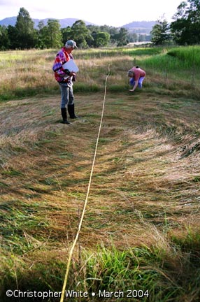 Conondale, Queensland, Australia researchers measuring largest circle of the four found in a line on March 28, 2004. Largest circle measured 7.9 meters and then the next size down 4 meters at the most southern end. On the other side of the largest circle were two that measured .85 meter and 1.8 meters. The four circles were aligned exactly 20 degrees east of north, magnetic north. All photographs © 2004 by Christopher White.