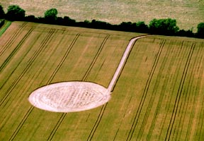 Farmer mowed down a formation near Avebury on or before July 21, 2004. To date, no one has reported seeing the pattern before it was destroyed. Aerial photograph © 2004 by Lucy Pringle.