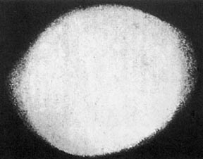 In 1934, an insurance appraiser was investigating lightning damage with several witnesses when he saw and photographed this glowing oval a few inches in diameter near the ground that lasted about ten seconds before fading away. Photograph published by Feuerwehr-Verbands-Z, Vol. 44, page 1, 1934.