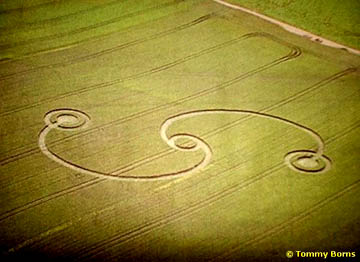 Pictogram reported in wheat on June 22, 2004, Heers, Limburg, Belgium. Aerial photograph © 2004 by Tommy Borns.
