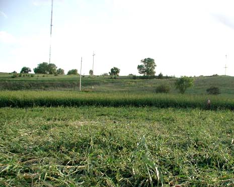  Beloit, Kansas, telephone tower is on hill across Highway 9 in upper left. Photograph © 2006 by Ted Robertson.