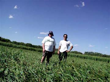 Inside the Beloit, Kansas, sorghum circle on September 16, 2006. On left, Rich Webb of MUFON and ICCRA. On right, Ted Robertson, ICCRA.