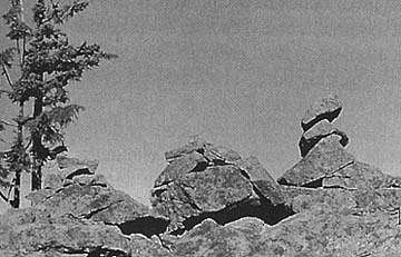 These are rocks sniffed and stacked by the two adult Sasquatches observed by Glen Thomas as they dug for hibernating ground squirrels near Mt. Hood, Oregon, in November 1967. Photograph © by John Bindernagel, Ph.D.