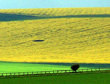 Simple circle in yellow flowering oilseed rape discovered on May 1, 2004, at Bishop Cannings Down, Wiltshire, England. Muddy, wet soil conditions have prevented field investigation. Photograph © 2004 by Nick Nicholson. See: http://www.cropcircleconnector.com