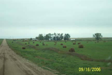 Briese cattle farm in Tappen, North Dakota, on September 16, 2006. Image © 2006 by Richard Moss and Lorna Hunter.