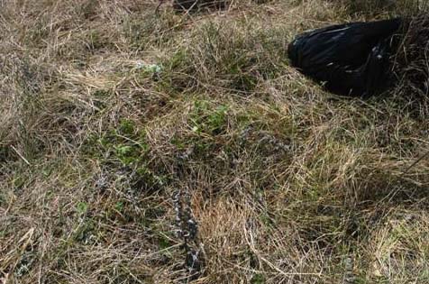 Black bag next to circular indentation in grass at water pond where Evan thought the front point of the triangular craft would have been setting. Image © 2006 by Laurie Jablonski.