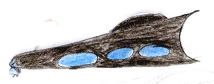 Craft shaped like triangle, or wedge. Blue beams shone from large ovals on the sides of the craft. Estimated craft dimensions: 40 feet long, 20 feet wide and about 7 feet high. Drawing © 2006 by Evan Briese.
