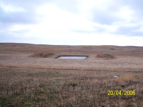 Evan Briese's perspective from hill looking down on water pond for cattle and raised embankments on either side. Image taken two weeks later on April 20, 2006 © by Laurie Jablonski