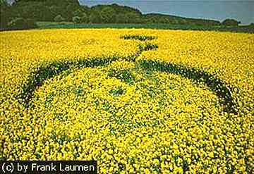 Burghasungen, Germany crop formation in yellow flowering oileed rape, or canola, discovered on the morning of May 1, 2000 after a strange blackness descended twice over the region between Kassel and Zierenberg, Germany. Photograph © 2000 by Frank Laumen.