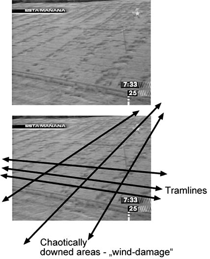 Diagram analysis of the Cadereyta, Nuevo Leon, Mexico, downed wheat © 2004 by Andreas Mueller, Invisiblecircle. 