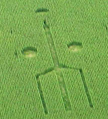 Abbotsford, British Columbia, Canada, approximately 300-foot-long pictogram in very tall cattle corn (9-10 feet), reported on August 13, 2003. Aerial photograph © 2003 by Mike Black.