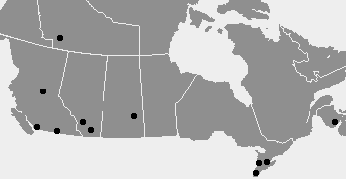 Left to right: Three confirmed crop formations in British Columbia (fourth "Ankh" described but not found); two huge tree circles in Northwest Territories; two in Alberta; one in Saskatchewan; three in Ontario; and one in New Brunswick. Map © 2004 by Paul Anderson, CCCRN.