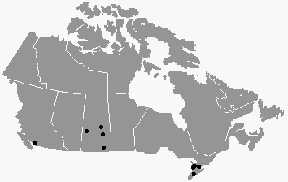  Fourteen formations have been reported in Canada since July 23, spanning from British Columbia to Saskatchewan and Ontario provinces. Map © 2003 by Paul Anderson, CCCRN.