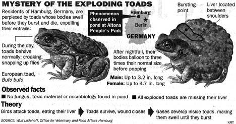 Information Source: Wulf Ladehoff, Office for Veterinary and Food Affairs, Hamburg, Germany, KRT.