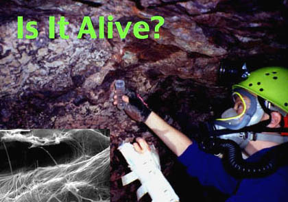 Microbiologist and atmospheric chemist, Penelope Boston, Ph.D., explores caves in New Mexico and Mexico looking for organisms (B&W inset is bacteria) that feed off a wide variety of minerals. Her evolving "Field Guide to Cave and Subterranean Microbes" might help in search for past, or present, life on Mars. Image © by Val Hadreth-Wether.
