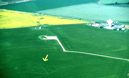 The yellow arrow points at a 230-foot-wide crop formation that appeared on June 16, 1999  in a crop field near Chilbolton Observatory in Hampshire, England.  Photograph © 1999 by Steve Alexander.