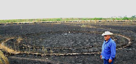Cameron County Deputy Sheriff Arnulfo Huerta stands by two of the concentric rings he discovered on Thursday, September 7, 2006, after he burned waist-high weeds to get rid of ticks near his property in Rio Hondo, Texas. Image © 2006 by Joe Hermosa/Valley Morning Star.