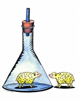 Since Dolly, the Scotland sheep, was the world's first cloned mammal in 1997, many other animals have been cloned and some scientists now want to clone humans. Graphic © 2001 by The British Council.